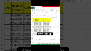 Ctrl + Page up & Ctrl + Page Down #excel #function #excelformula #exceltips