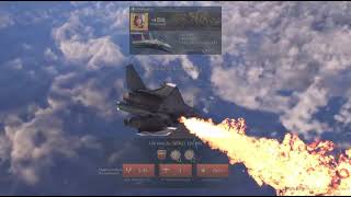 Su-30sm2 sim enduring confrontation