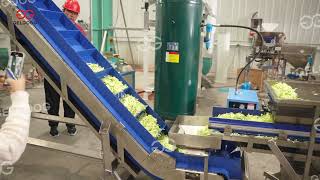 Fresh-Cut Vegetable Processing Line