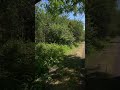 #oregon #pnw #trail