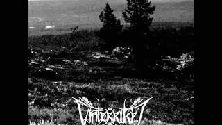 Vinterriket - Sehnsuchtsglanz