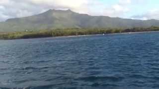 Catamaran Trip In Black River