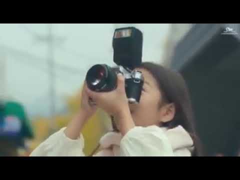 lagu-alan-walker-lily