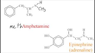 D.5.2 Compare amphetamines and epinephrine (adrenaline) IB Chemistry SL