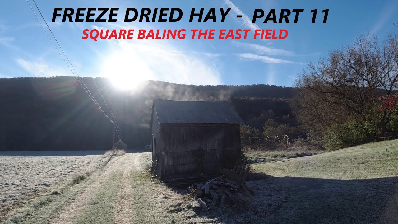 Photo inspiration: Fresh Look at Freeze Dried Hay Part 11 Square Baling Hay The East