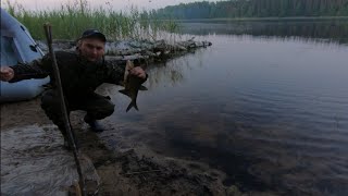 На резинку в жару. ТВЕРСКАЯ ОБЛ ловля ЛЕЩА