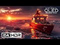 16K Video ULTRA HD OLED Demo | 16K HDR Dolby Vision 120FPS