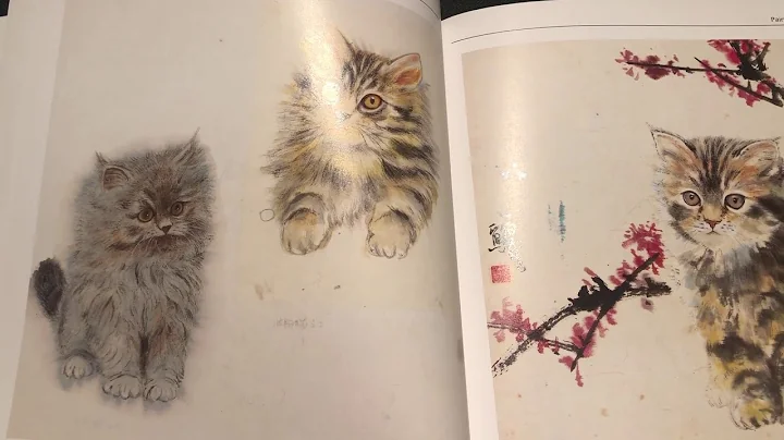 Watch the video about BK21