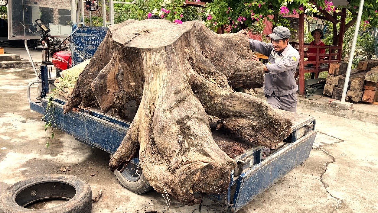 A Masterpiece Of Art From A Large Tree Stump - That Is An Excellent Tea Table