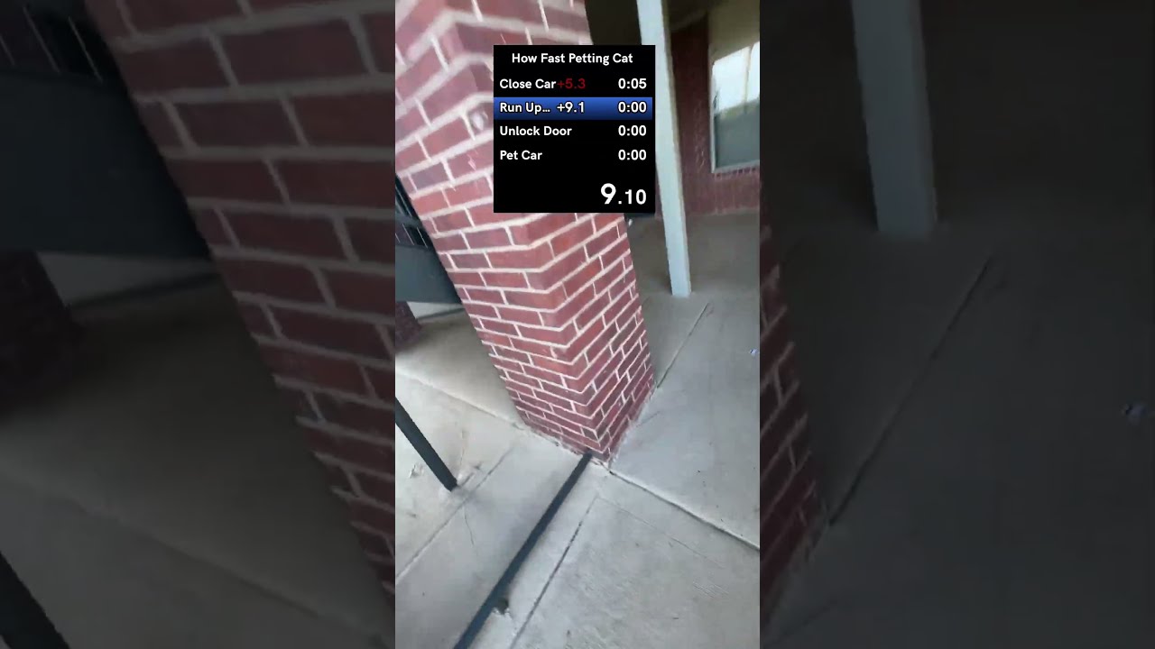 Speed Running How Fast I Can Pet My Cat