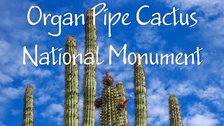 Organ Pipe Cactus National Monument, Arizona