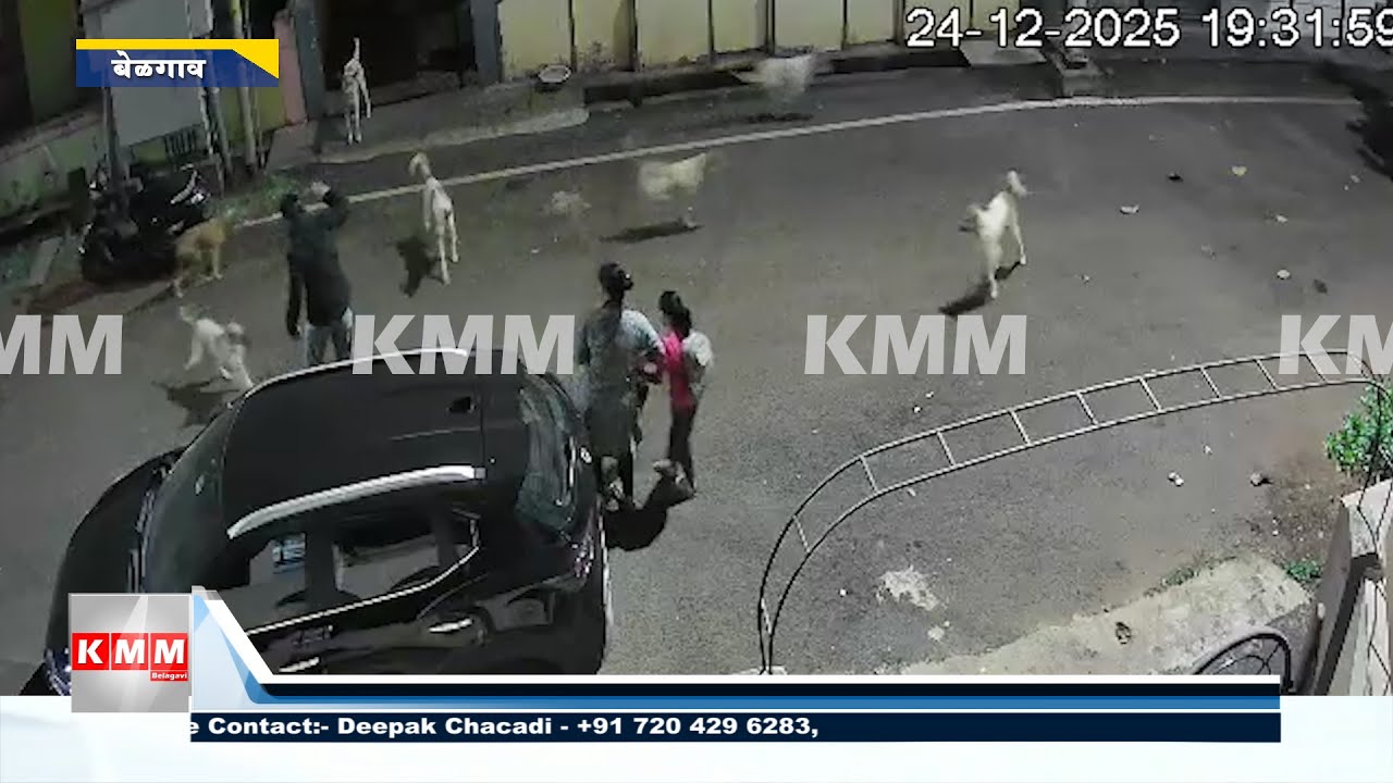 Shocking Stray Dog Attack in Belagavi Caught on Camera - YouTube