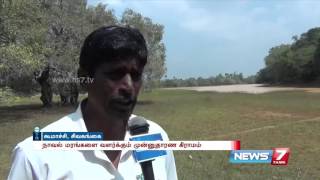 Jamun farming at Kumachi, Sivagangai : Special story | News7 Tamil