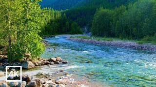 4K The Last Quiet River | Crystal Clear Mountain Stream & Peaceful Forest Sounds for Sleep & Focus