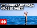 ЧТО происходит, когда ЧЕЛОВЕК ТОНЕТ? #ИФ