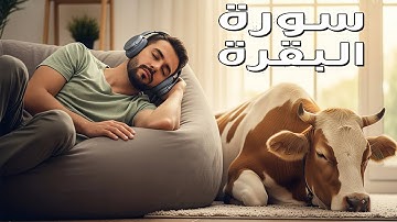 تلاوة خاشعة من سورة البقرة بصوت القارئ المميز عبدالله أحمد شعبان، بصوت يلامس القلوب ويبعث الطمأنينة