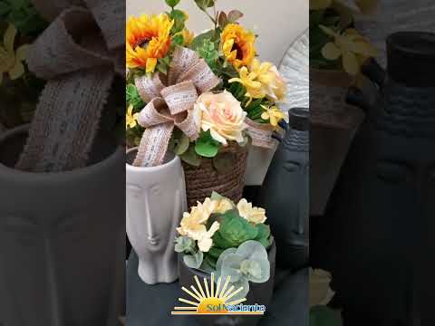Colección Energía Positiva