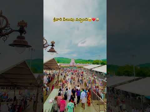 Tirumala Govinda #govinda #newvideo #reels #trending #tirupti #god #hindu #sanatandharma