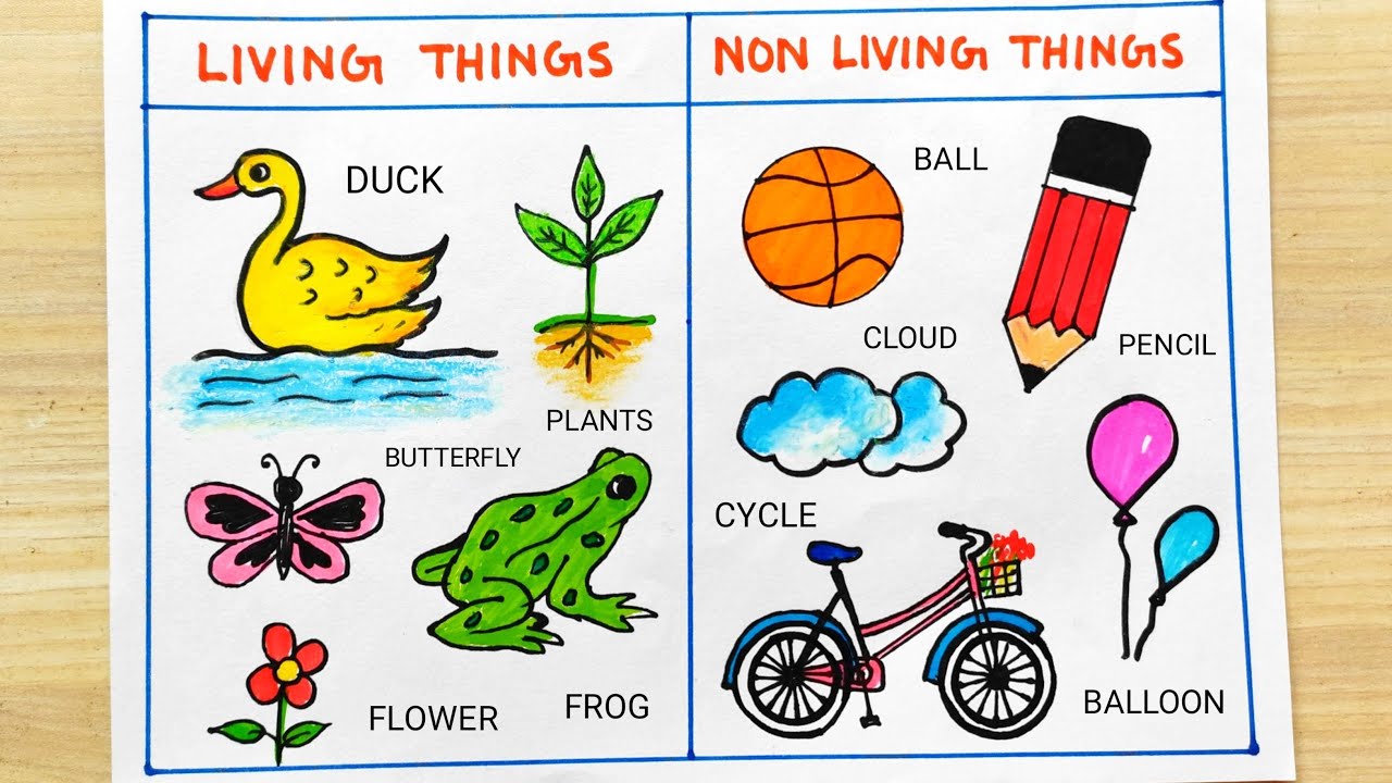 How to draw Living & Non-Living Things | Living Things and Non ...