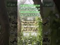 يا الله إني ناديتك و سعيت و إستهديتك فهديت بالقرآن أنرت طريقي أشهد أن لا معبود سواك 