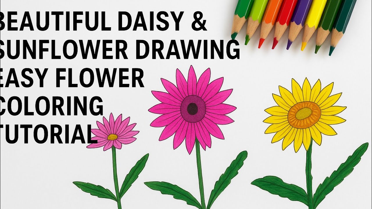 “Beautiful Daisy & Sunflower Drawing | Easy Flower Coloring Tutorial ...