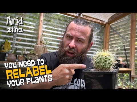 Why your plants are always changing their names: Cactus Taxonomy