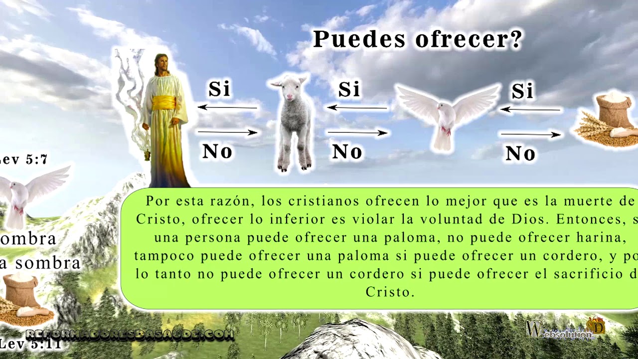 Vídeo: 