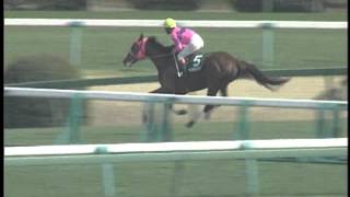 第118回中山大障害(春)  ポレール 単勝馬券 中山大障害・春 1996年 ポレール - YouTube