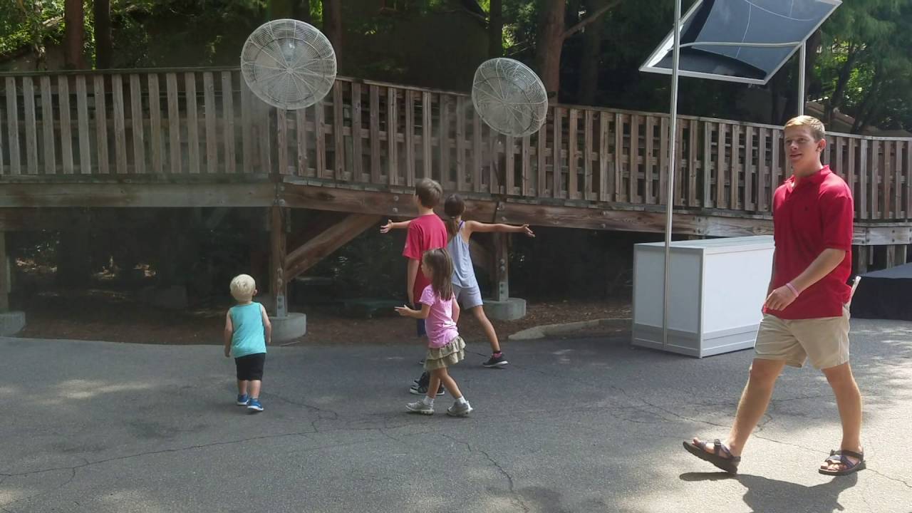 camera iphone 8 plus apk Spray fan at the zoo