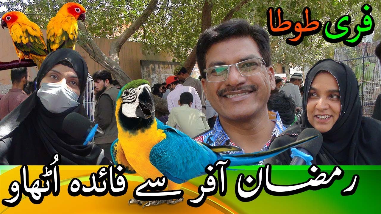 Lalukhet Exotic Parrots and Rare Birds Market Karachi 17-3-2024 Latest Update in Urdu/Hindi
