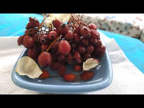 Video: Üvez Yapraklı Fieldberry