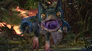 Monster Hunter World Pukei-Pukei Boss Fight Solo Hammer
