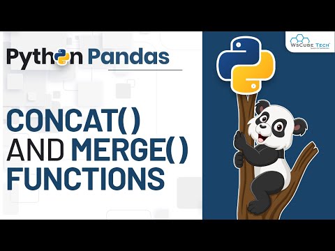 How to Merge and Concat DataFrames | Pandas Tutorial