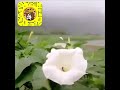 نصيحه لا تجعل شي تافه يكدر حياتك