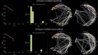 CElegans multiplex