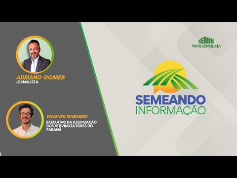 Paraná supera desafios do clima e aposta na pesquisa para fortalecer a produção de uvas e vinhos