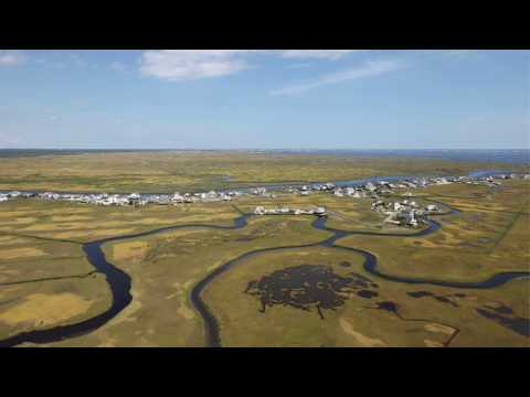 Video: Wat kwalificeert als een wetland?