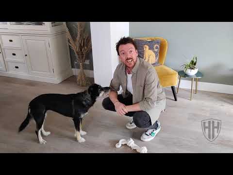 Video: Hoe Bepaal Je De Kledingmaat Van Je Hond
