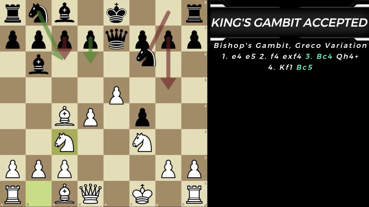 SHOW King's Gambit Declined SHOW no Gambito do Rei Recusado #chess #aj