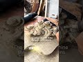 The Vessel of Abundance: Hand-Carved Ancient Buried Black Nanmu Tea Tray