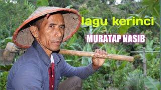 lagu kerinci MURATAP NASIB