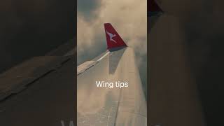 What do wingtips do for an aircraft #aviation