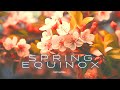 Spring equinox eclipse gateway  intense energy of activation  handpan  udu  march 2024