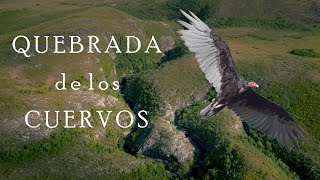 Quebrada de los Cuervos y Cajoncitos  En lo mas profundo