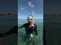 the creatures were out today 🤗 #ocean #underwater #diving #oceancreatures