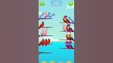 BIRD SORT COLOUR - LEVEL 18 I Shorts