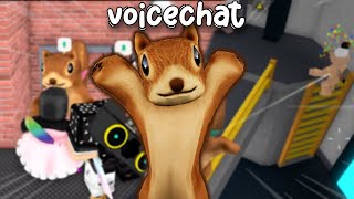 SQUIRREL plays MM2 VOICE CHAT... *Funny moments* (Murder Mystery 2)