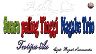 Suara Tinggi TERTIPU AU  Cipt. Dapot Simarmata  II  Nagabe TRIO