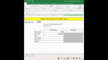 TIN HỌC HẠ LONG - Nhập nhanh số có nhiều số 0