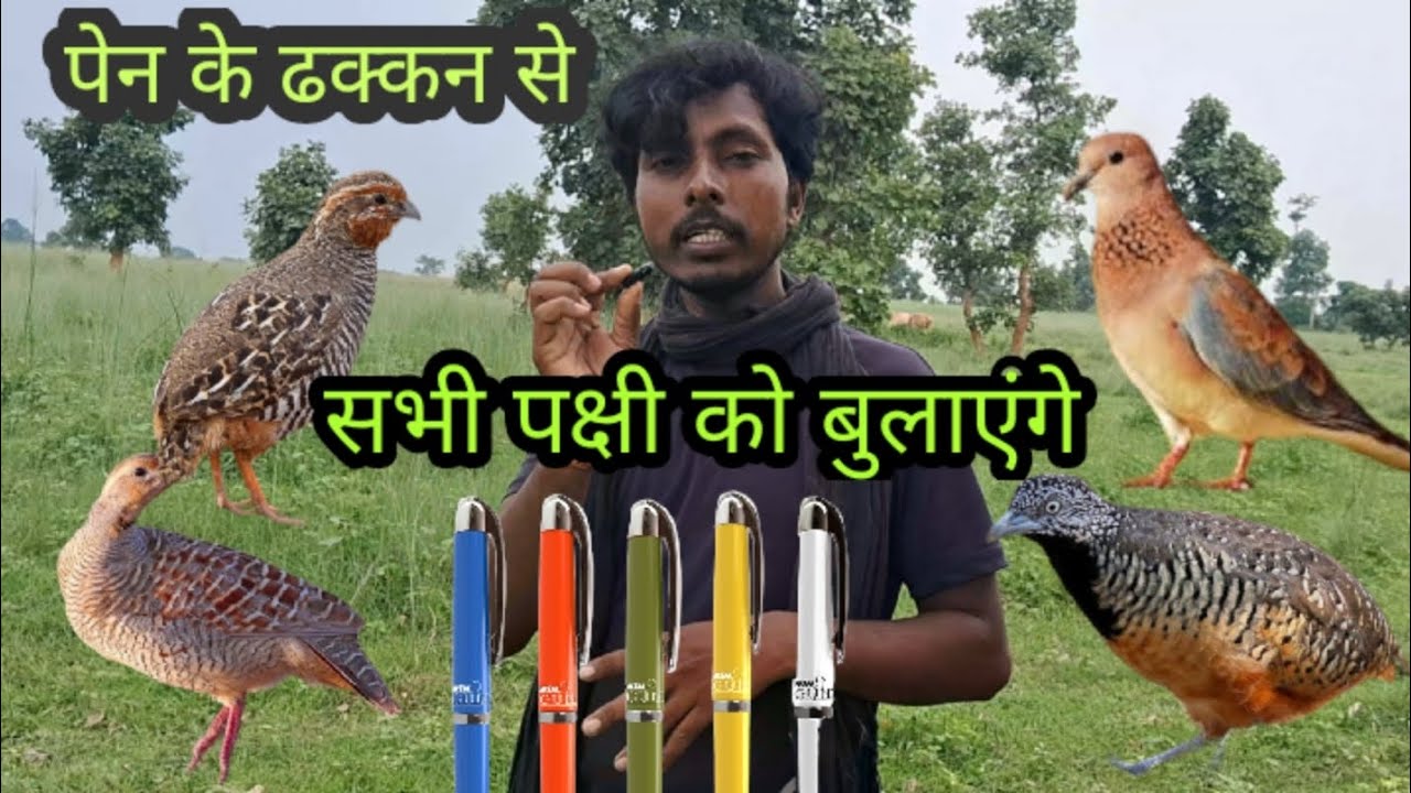 पेन के ढक्कन से सभी पक्षी को बुलाएंगे || pen ke dhakkan sabhi pakshiyon ko bulaenge teetar